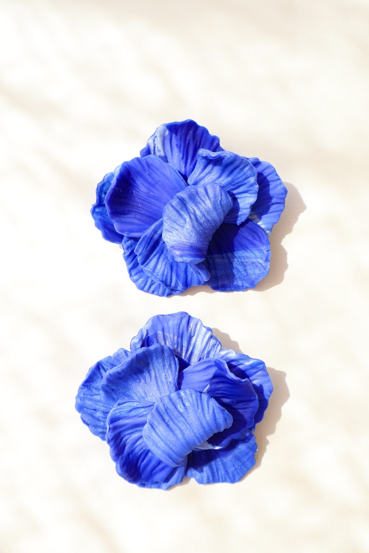 0918E5D5-09A5-4833-A14E-9CD3A0B387CA_1_105_c